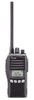 Icom F4161DS 76